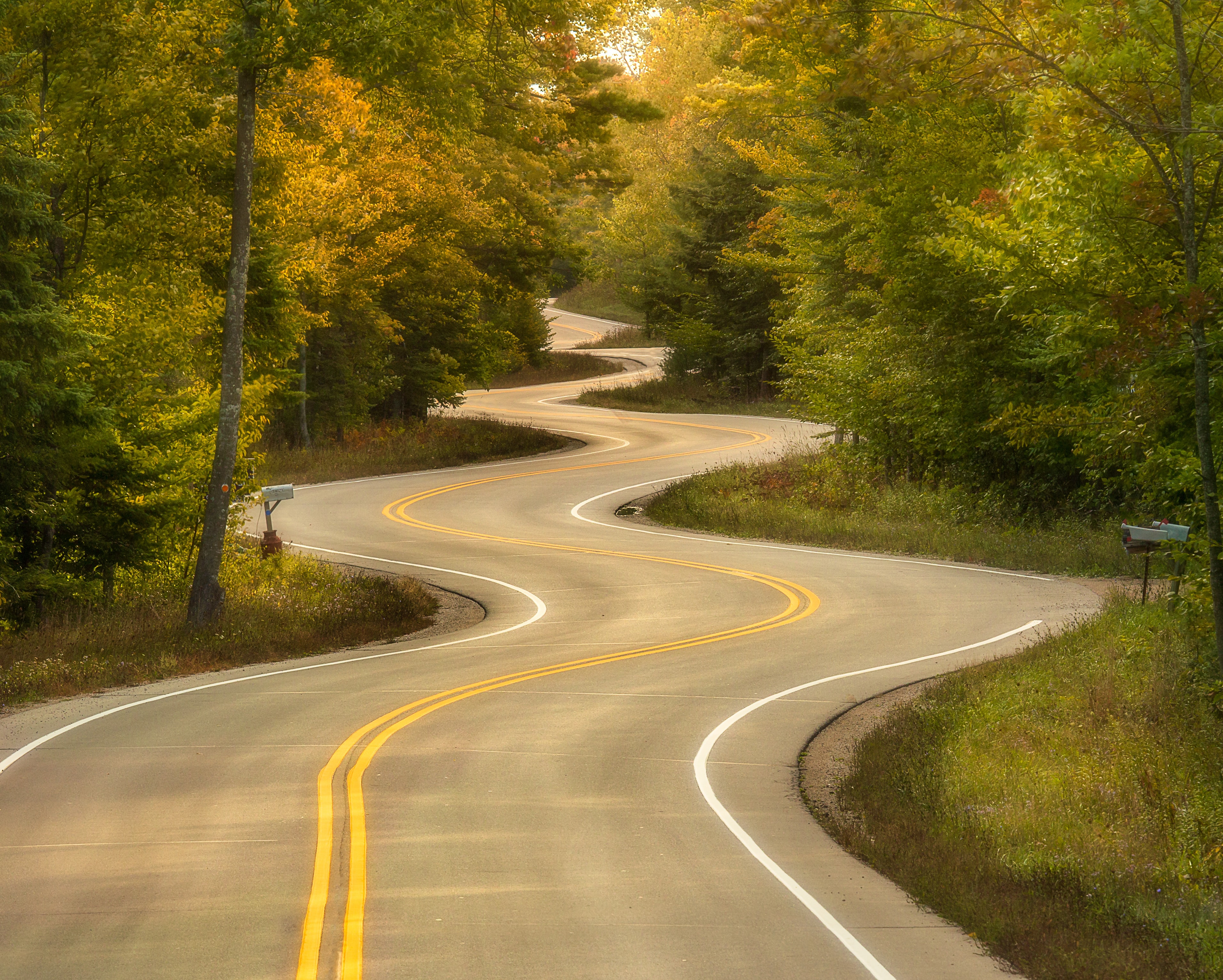 Winding road through a forest in autumn